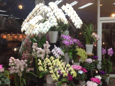 「フローリストしはら」　（福岡県八女市）の花屋店舗写真2